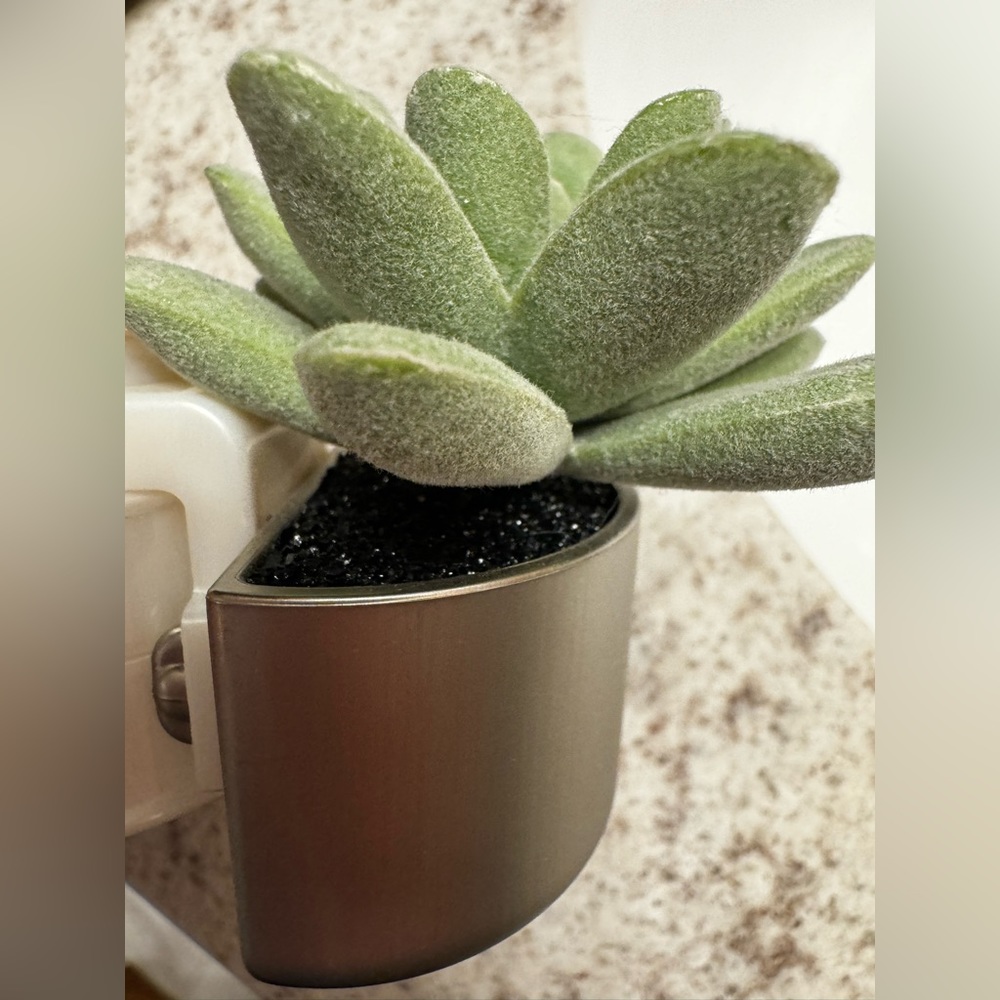 Bath and Body Works succulent wallflower plugin